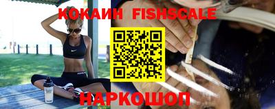 прущие крисы Славгород