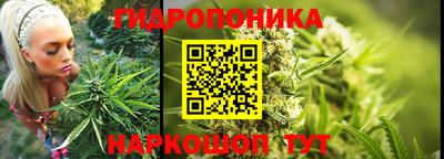 ешки Сланцы