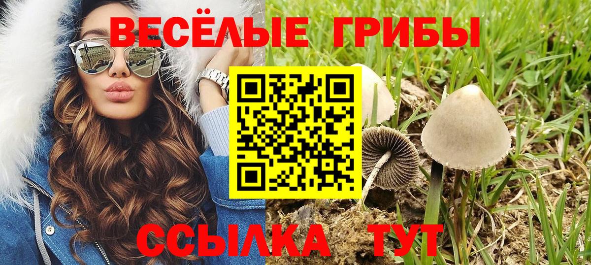 Галлюциногенные грибы Cubensis Орехово-Зуево